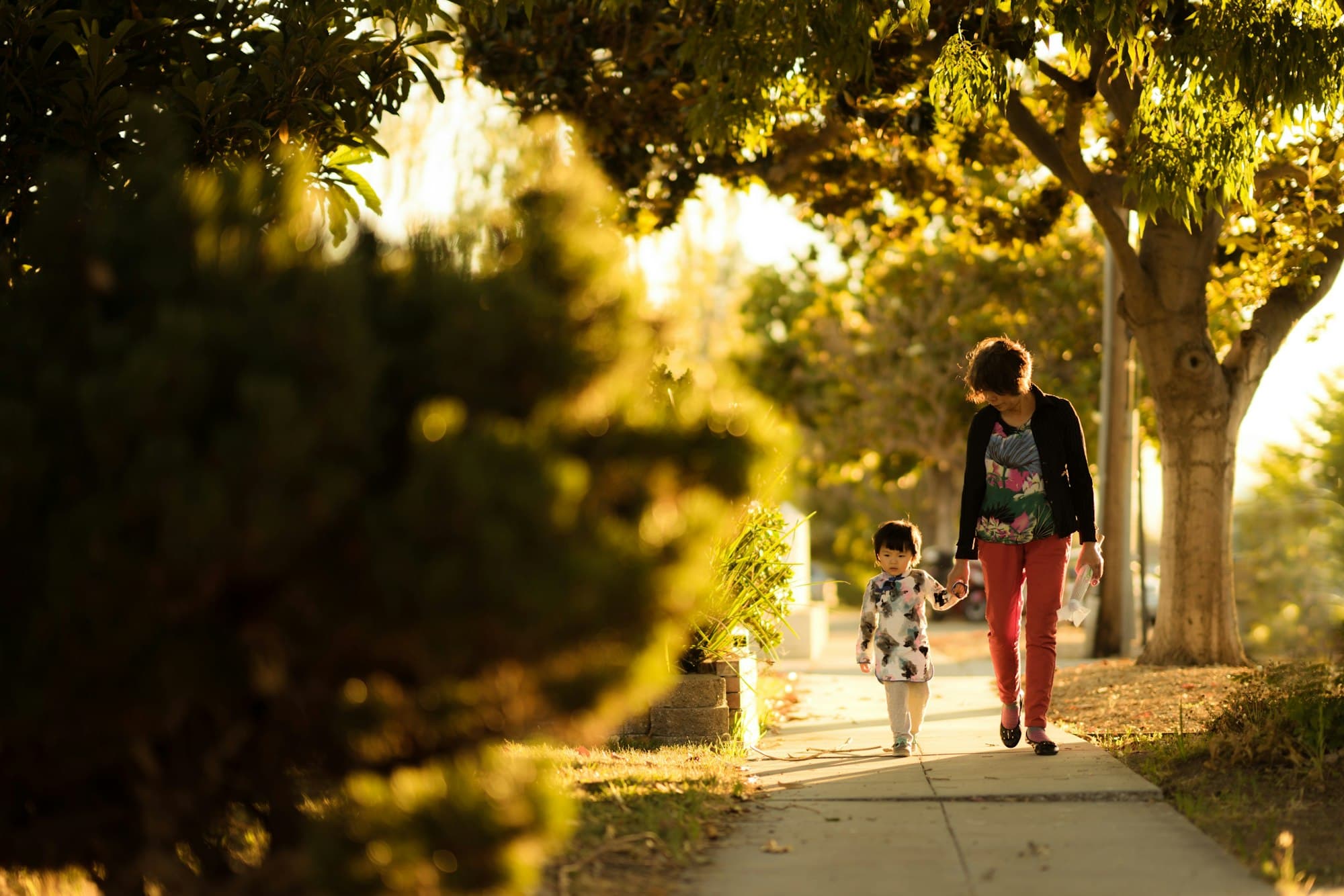 A family walking together on a sunlit path